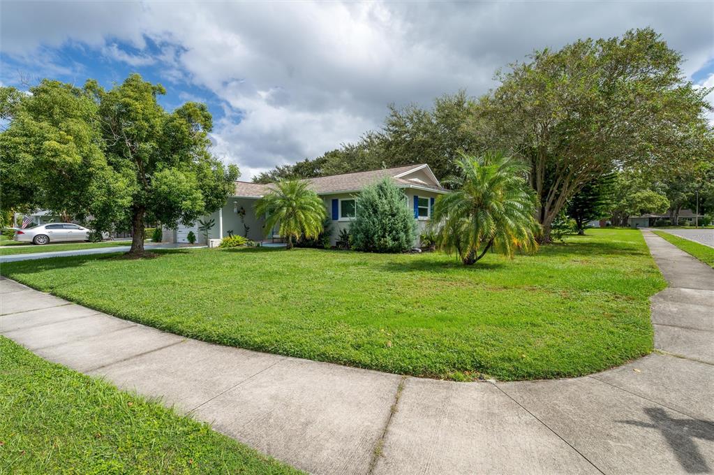 1472 Queen Anne Drive Palm Harbor, FL 34684 - Photo 31 of 34 a view of a garden with a building in the background