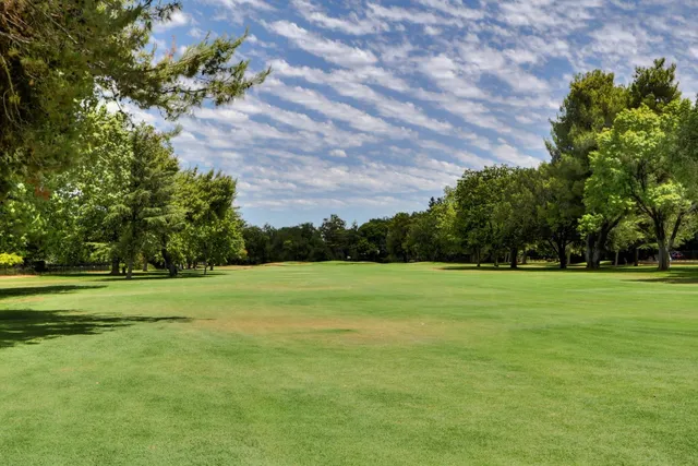 a big yard with lots of green space