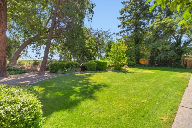 a view of yard with green space