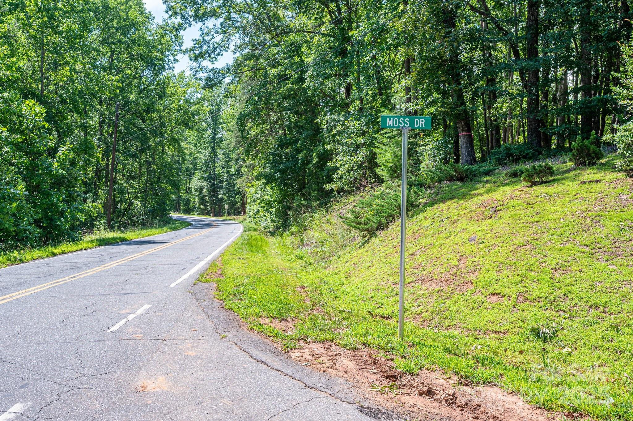 Lot #6 Cleghorn Mill Road Rutherfordton, NC 28139 - Photo 24 of 26