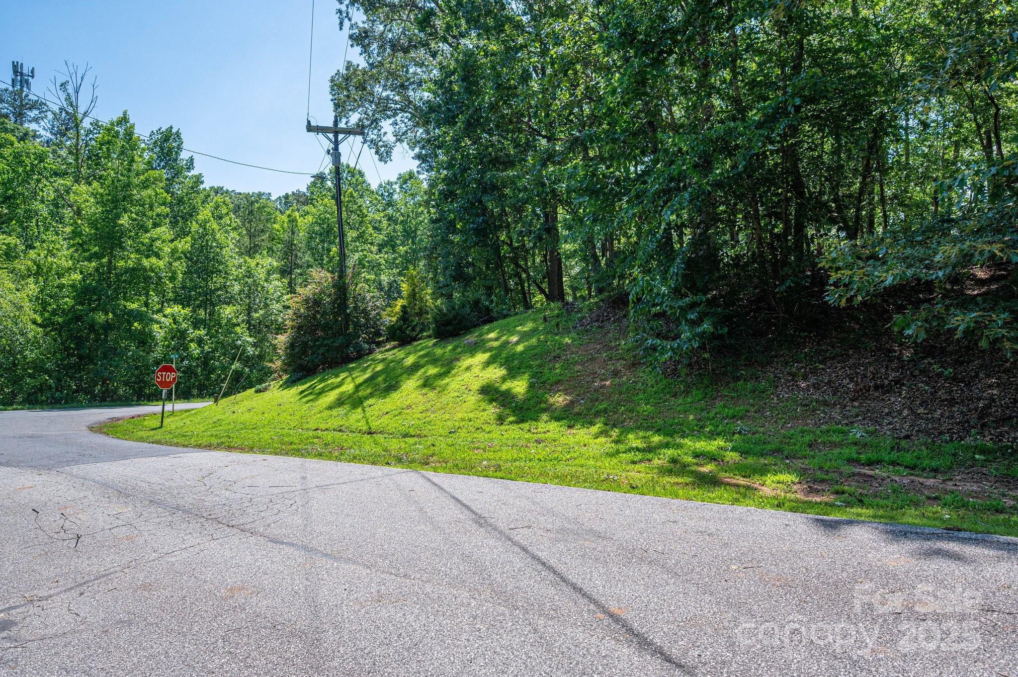Lot #6 Cleghorn Mill Road Rutherfordton, NC 28139 - Photo 25 of 26
