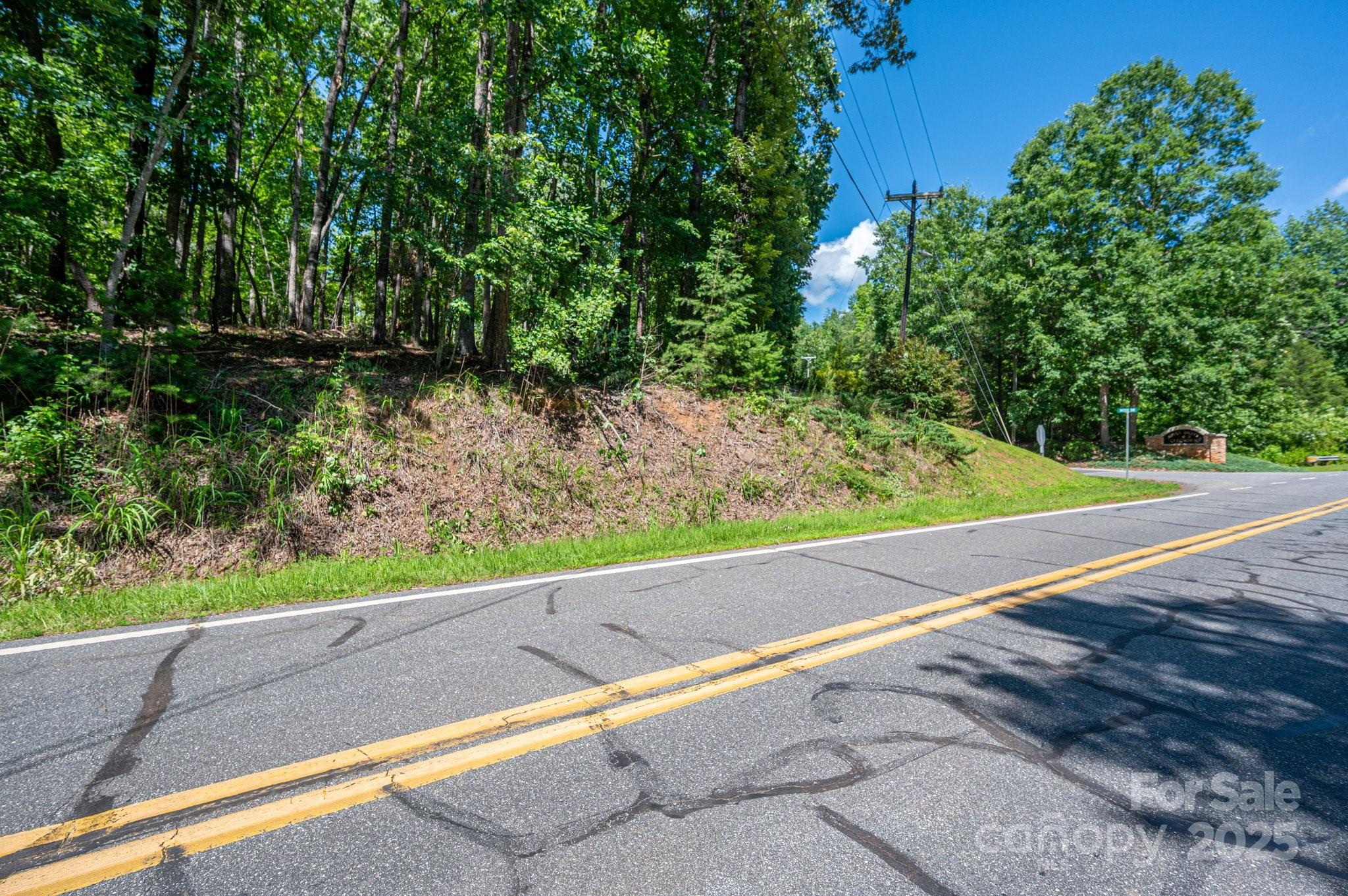 Lot #6 Cleghorn Mill Road Rutherfordton, NC 28139 - Photo 26 of 26