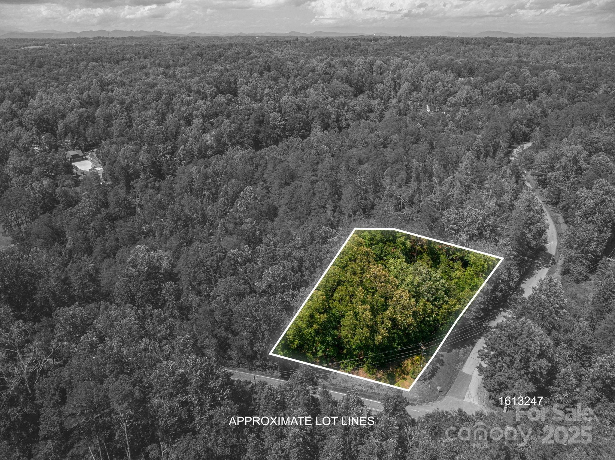 Lot #6 Cleghorn Mill Road Rutherfordton, NC 28139 - Photo 4 of 26