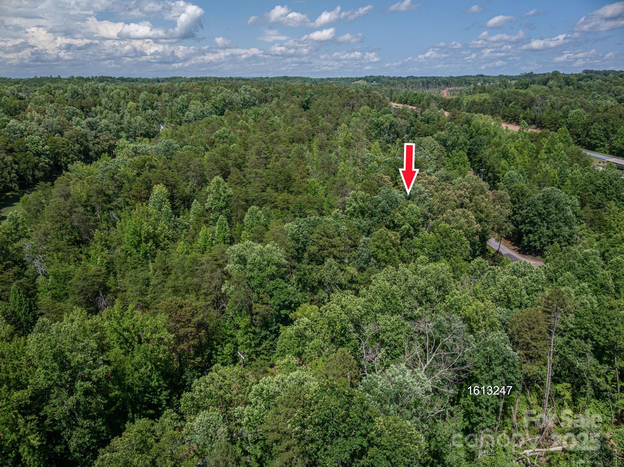Lot #6 Cleghorn Mill Road Rutherfordton, NC 28139 - Photo 5 of 26