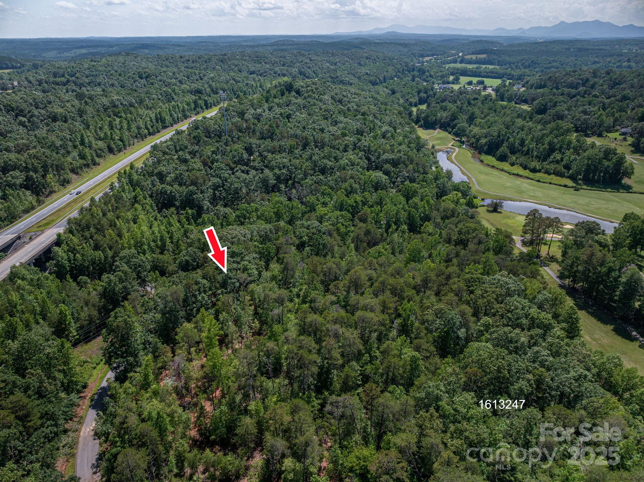 Lot #6 Cleghorn Mill Road Rutherfordton, NC 28139 - Photo 6 of 26