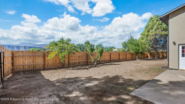 a view of backyard with green space