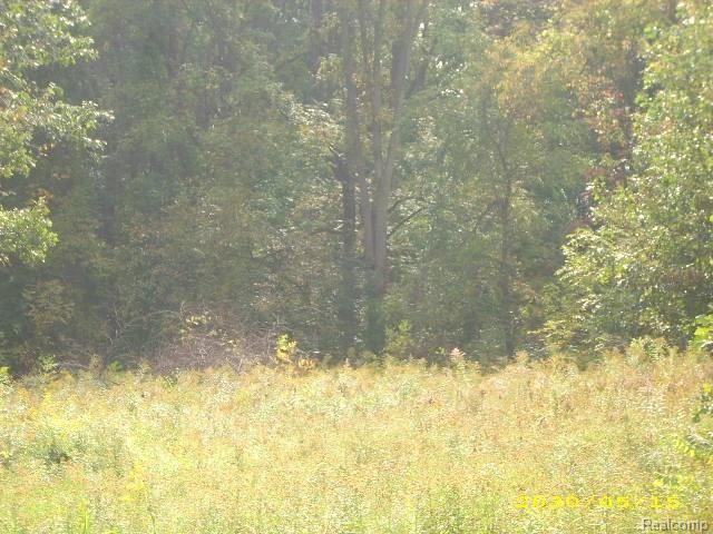 0 Rolson Road Linden, MI 48451 - Photo 7 of 10