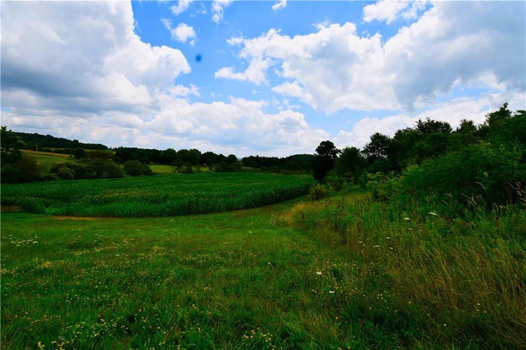 Lot 7 Beaver Holw Rd  