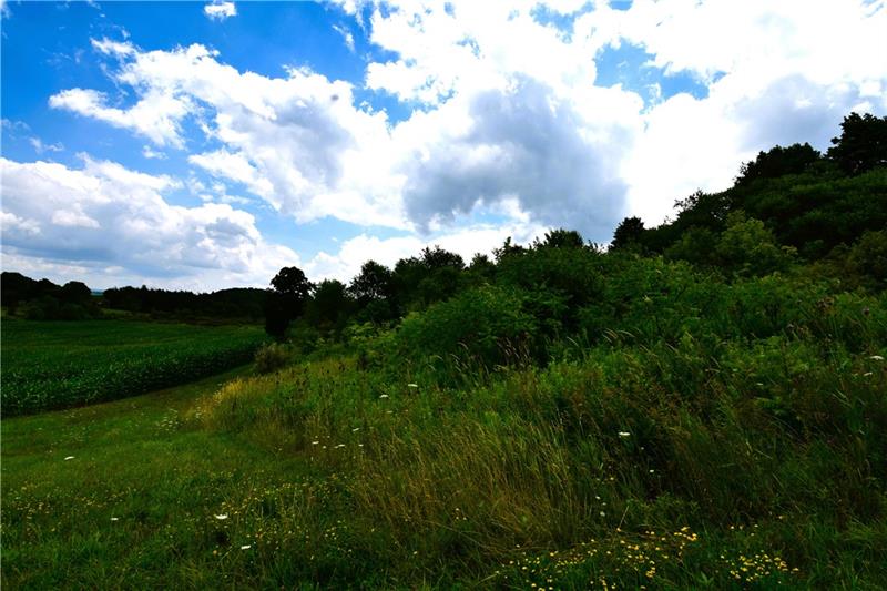 Lot 7 Beaver Hollow Road Somerset, PA 15501 - Photo 2 of 9 a view of a city and lush green forest