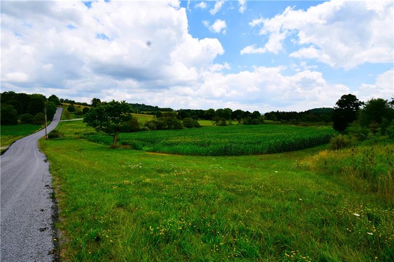 Lot 7 Beaver Hollow Road Somerset, PA 15501 - Photo 4 of 9 a view of a big yard with lots of green space