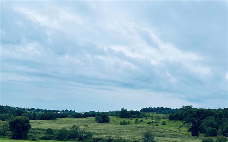 Lot 7 Beaver Hollow Road Somerset, PA 15501 - Photo 5 of 9 a view of a big yard with plants and large trees