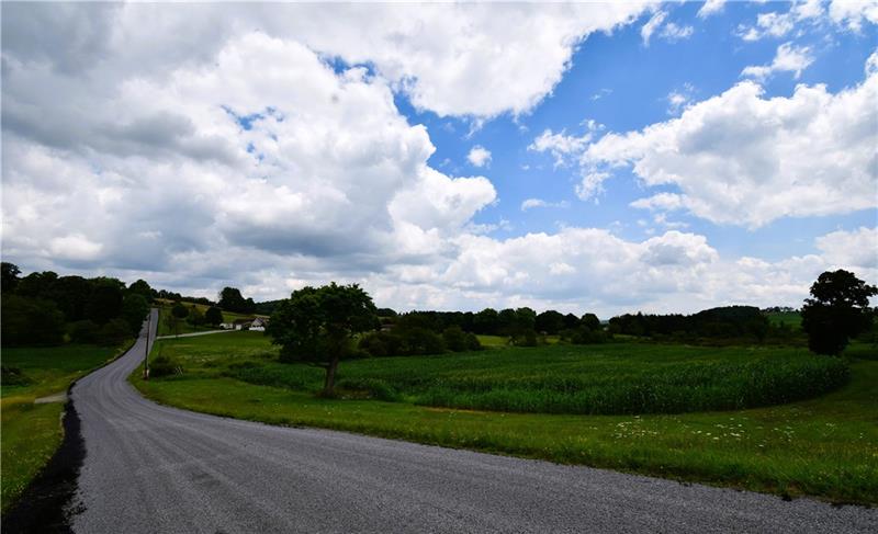 Lot 7 Beaver Hollow Road Somerset, PA 15501 - Photo 8 of 9 a view of a garden and mountain