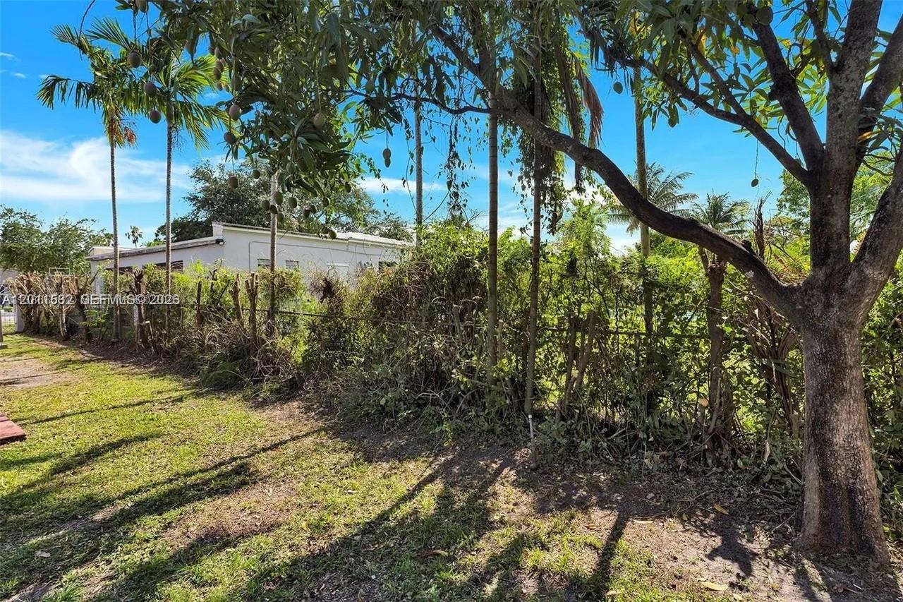 437 Swan Avenue Miami Springs, FL 33166 - Photo 11 of 33