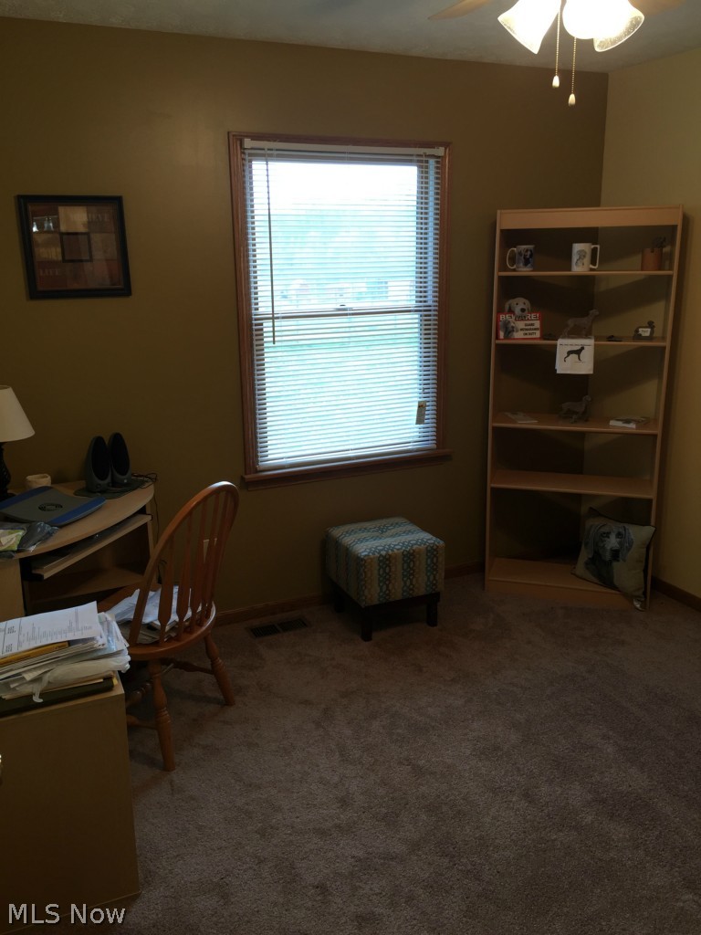 8260 Coon Club Road Medina, OH 44256 - Photo 16 of 25 Gallery Image 16