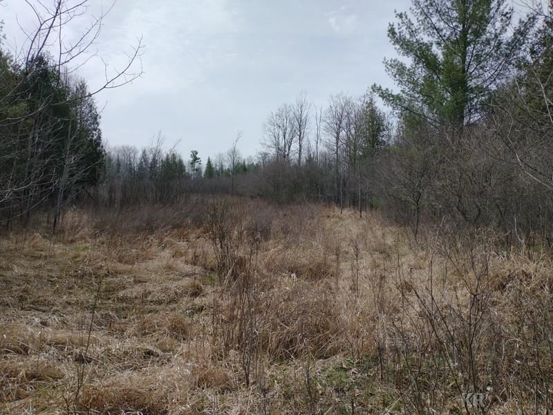 50-acres Sugar River Road Gladwin, MI 48624 - Photo 9 of 29