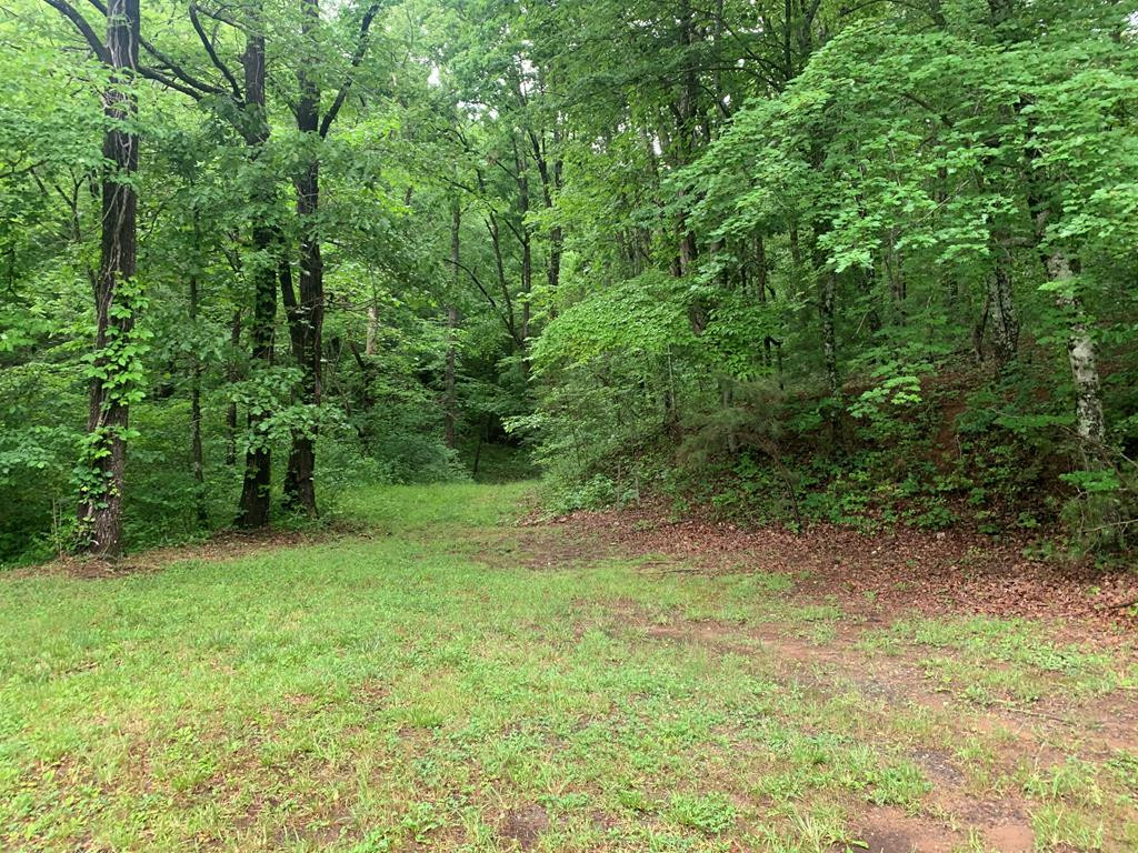 805 Bethabara Road Hayesville, NC 28904 - Photo 8 of 21
