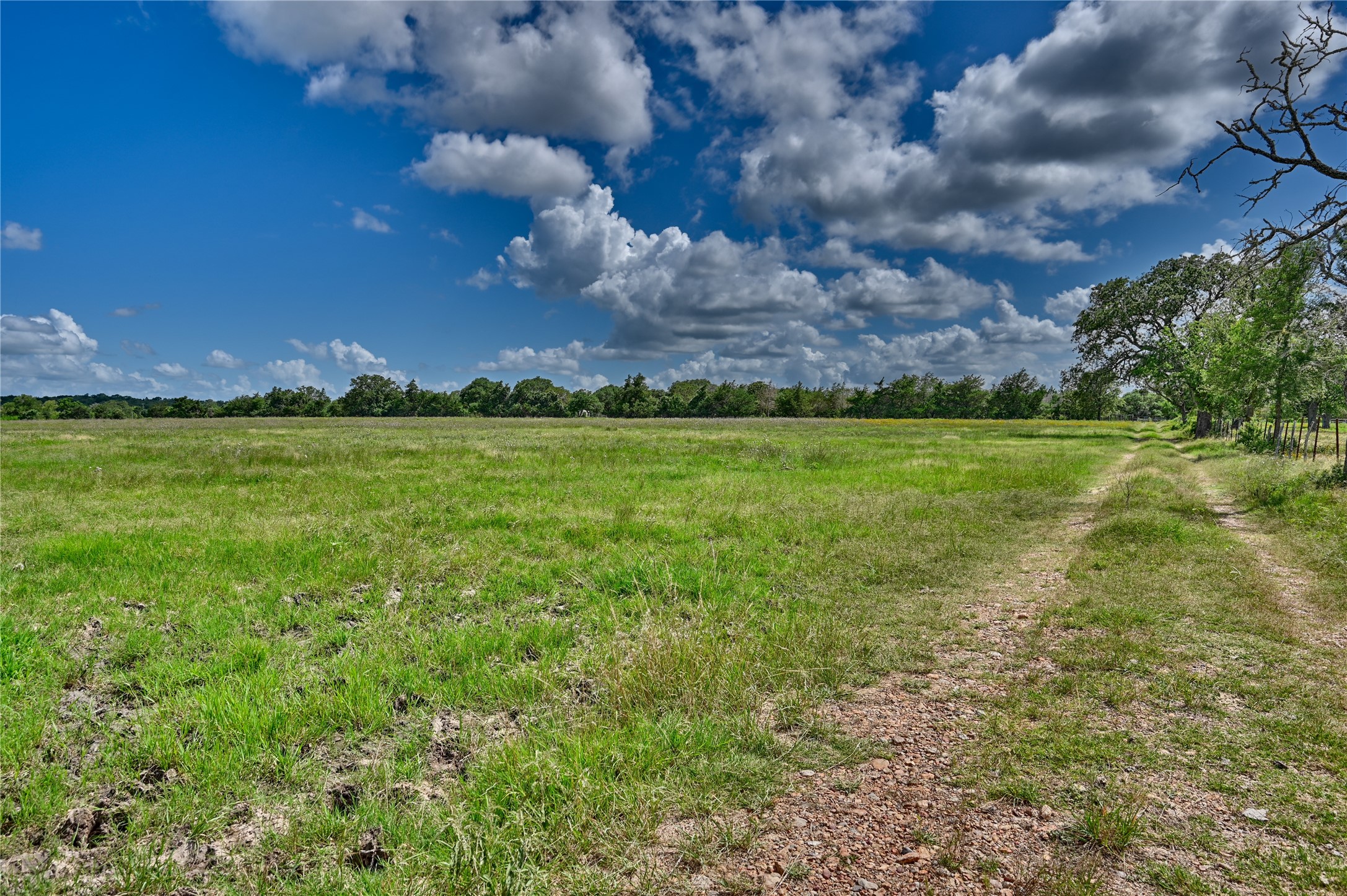 0 Homeyer Mountain Road Burton, TX 77835 - Photo 15 of 17 a view of a big yard with a house in the background