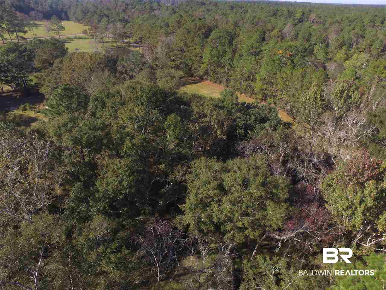 12696 Hilliard Jenkins Road Loxley, AL 36551 - Photo 49 of 49