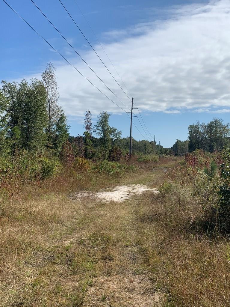 0 West Foxworth Mill Road Sumter, SC 29153 - Photo 2 of 7