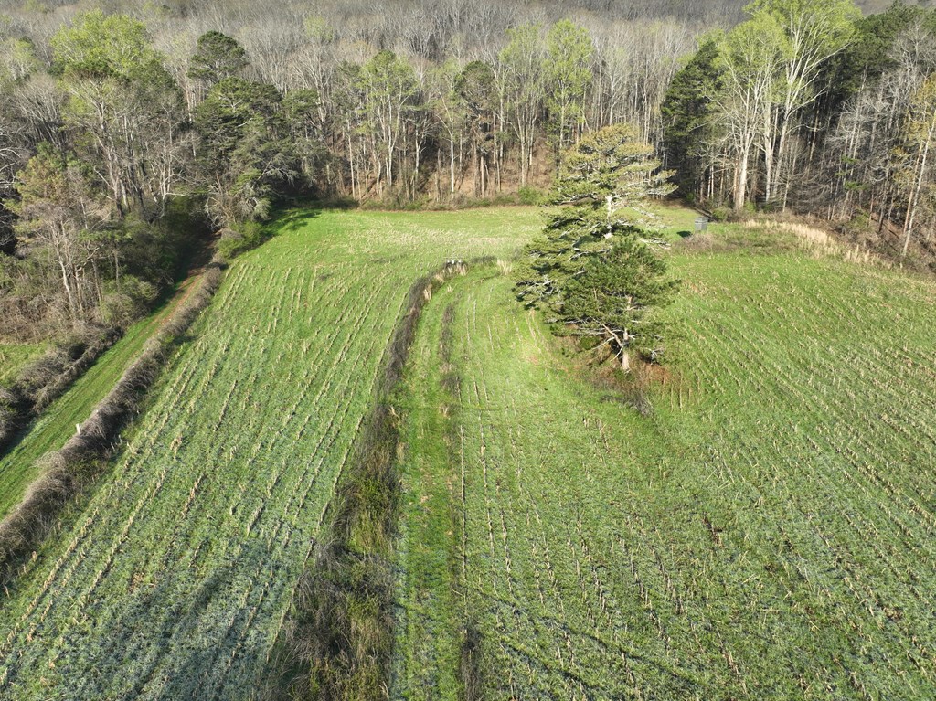 0 Shinbone Valley Road LaFayette, GA 30728 - Photo 14 of 15 Gallery Image 14