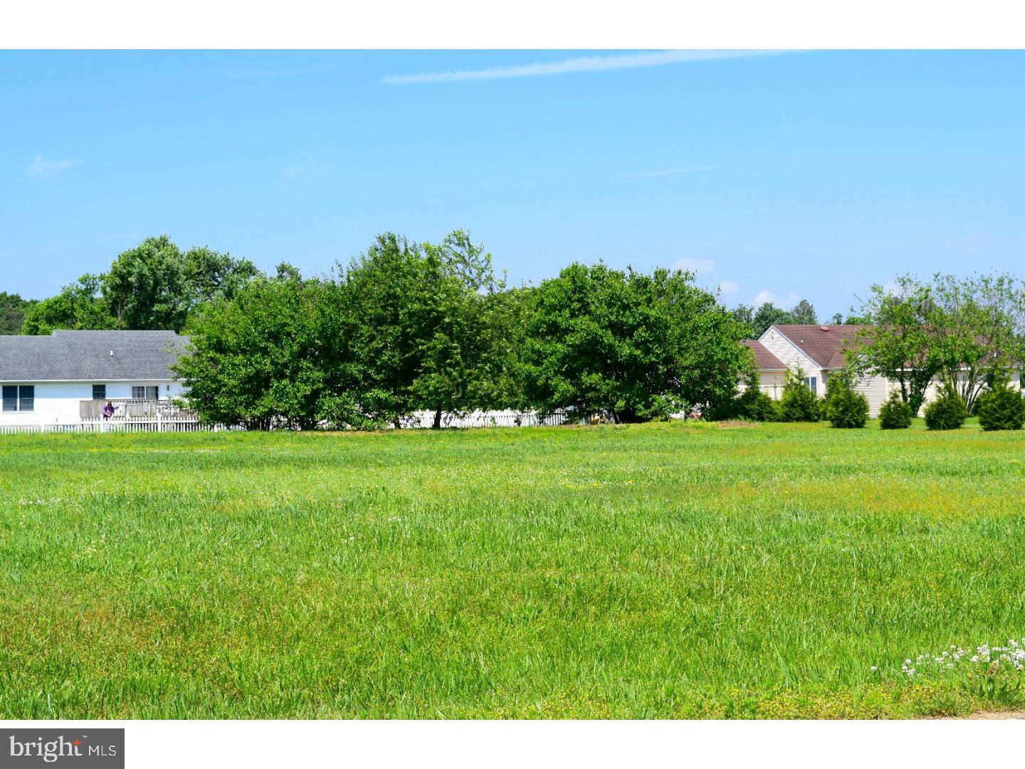36864 Red Berry Road Delmar, DE 19940 - Photo 3 of 6