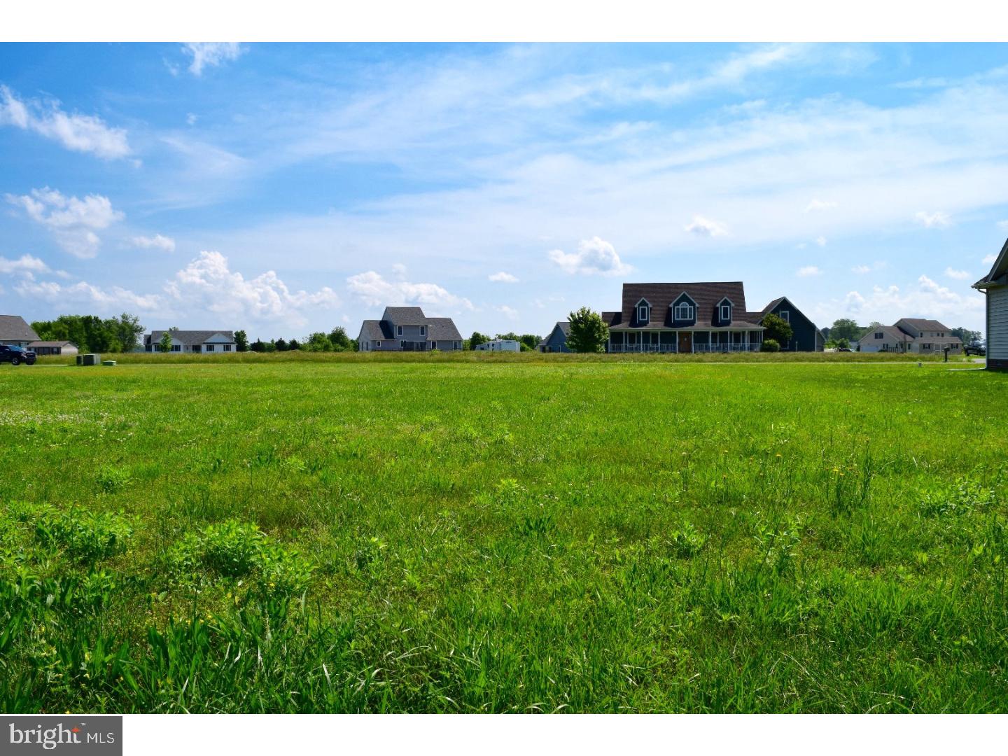 36864 Red Berry Road Delmar, DE 19940 - Photo 4 of 6