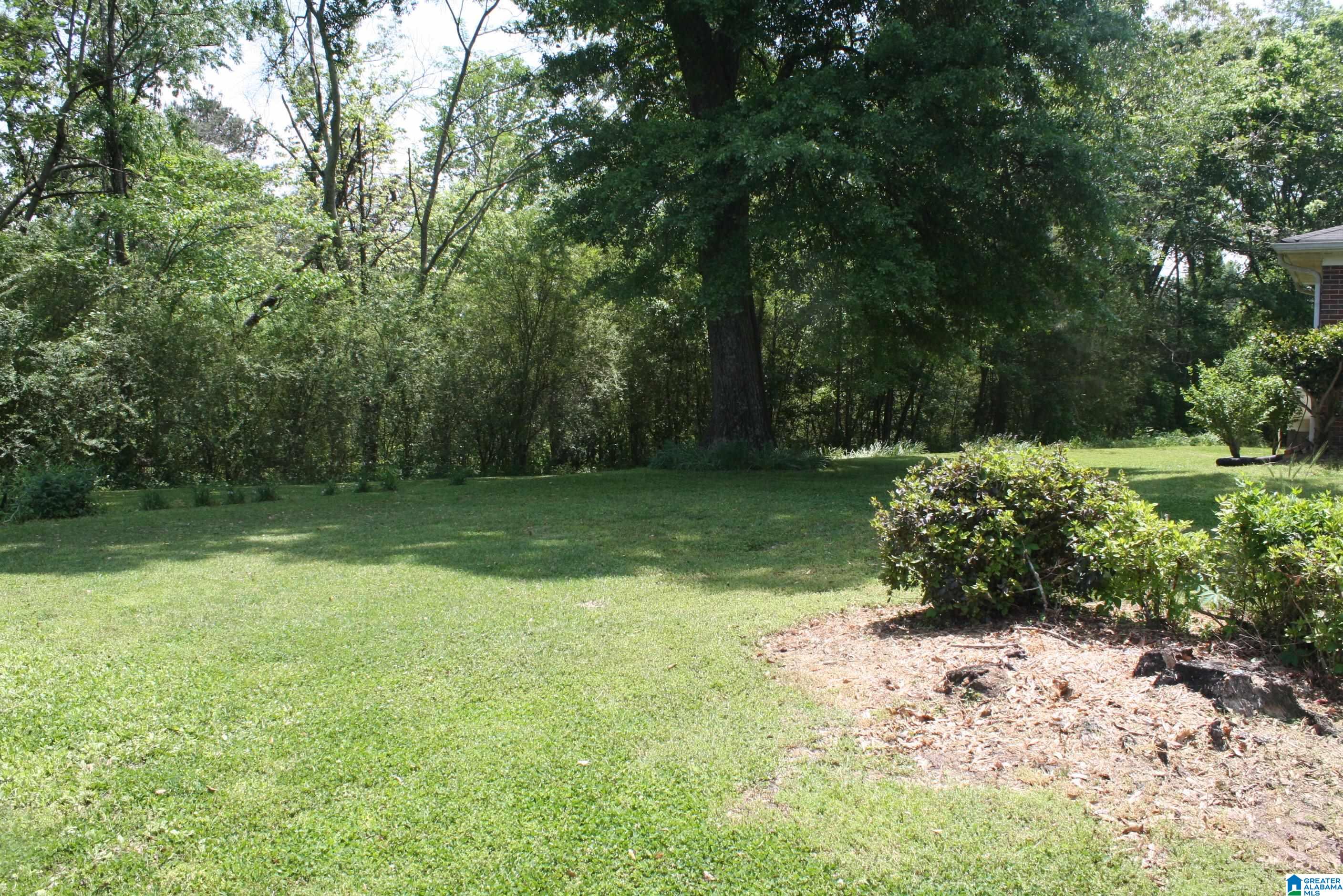6083 Tommy Town Road Mount Olive, AL 35117 - Photo 16 of 45