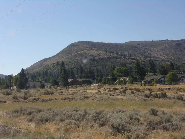 a view of a dry yard with trees