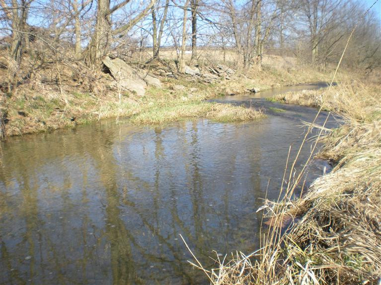 3210 Millersburg Ruddles Mill Road Paris, KY 40361 - Photo 15 of 30 Photo 16