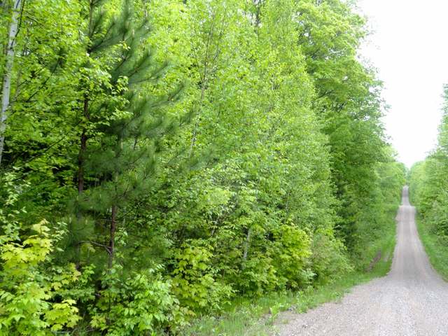 40-acres Cole Road Crandon, WI 54520 - Photo 3 of 10 Gallery Image 3