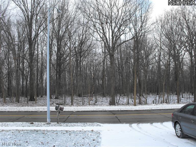 3001 Reeves Road Willoughby, OH 44094 - Photo 4 of 21 Gallery Image 4