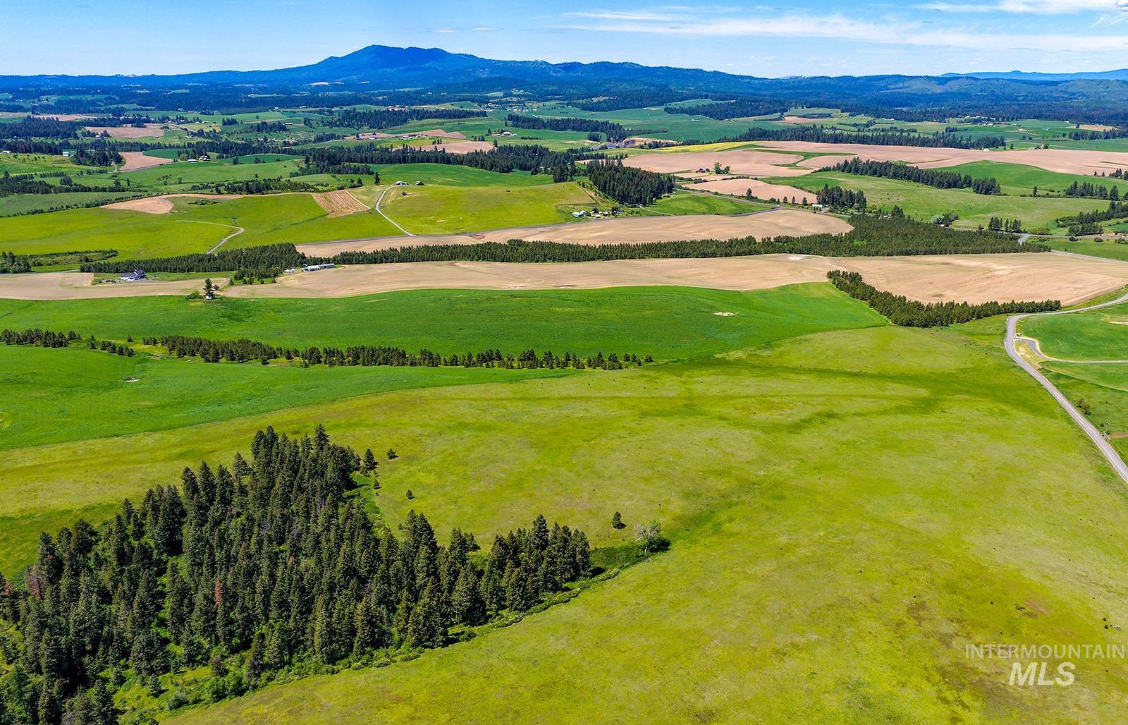 Tbd Tbd Johnson Road, Unit 1 Deary, ID 83823 - Photo 12 of 18