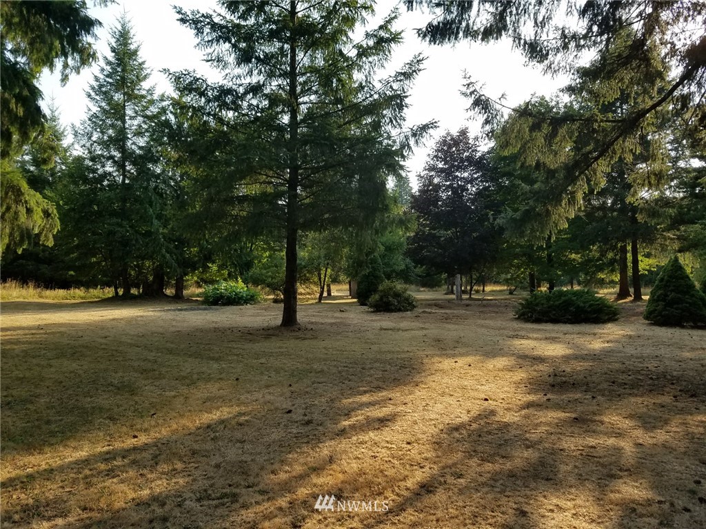 0 Auman Road Onalaska, WA 98570 - Photo 1 of 3 Gallery Image 1