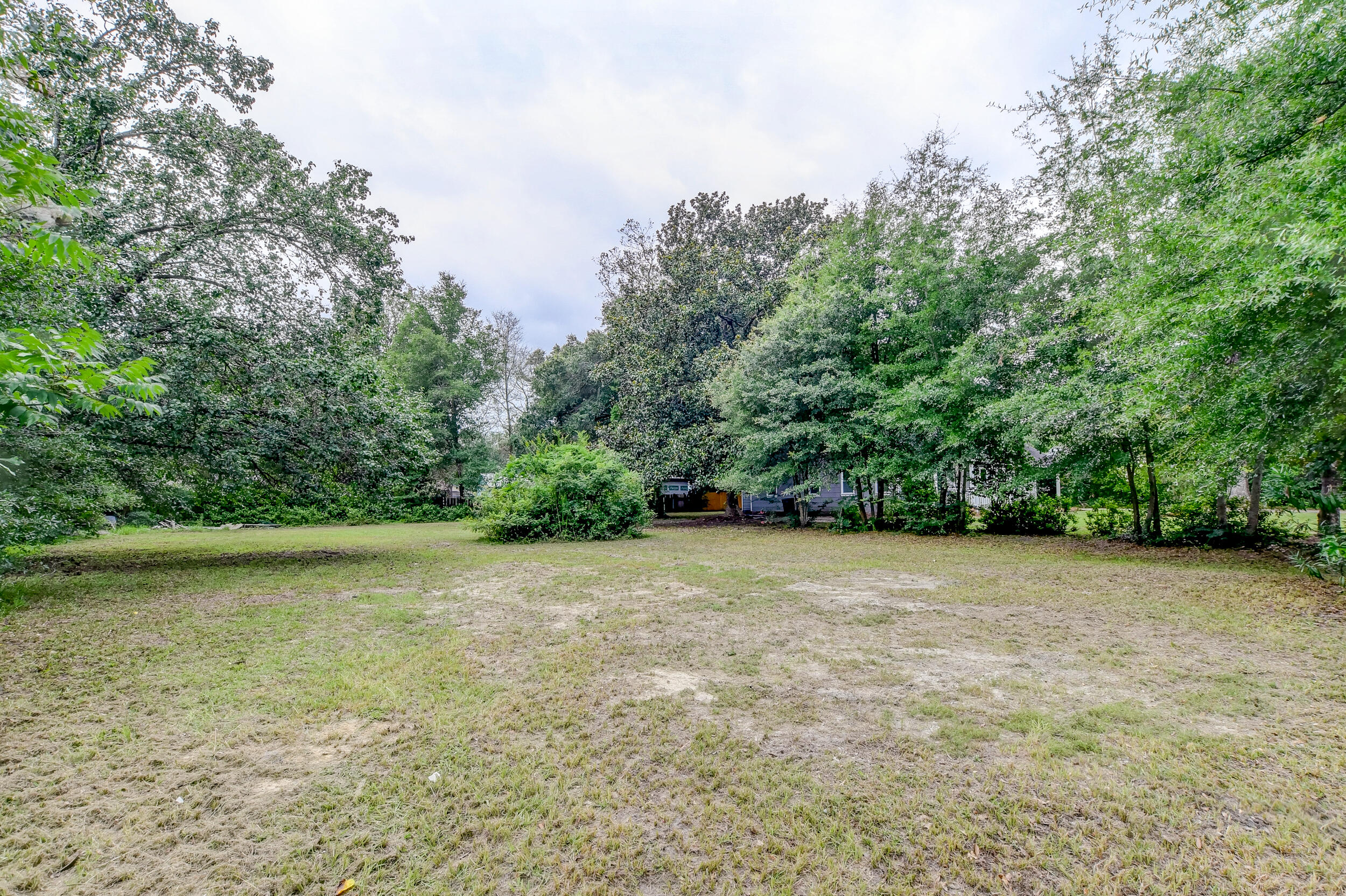 0 Warren Street Walterboro, SC 29488 - Photo 1 of 8 DSC_2580_1_2_3_4