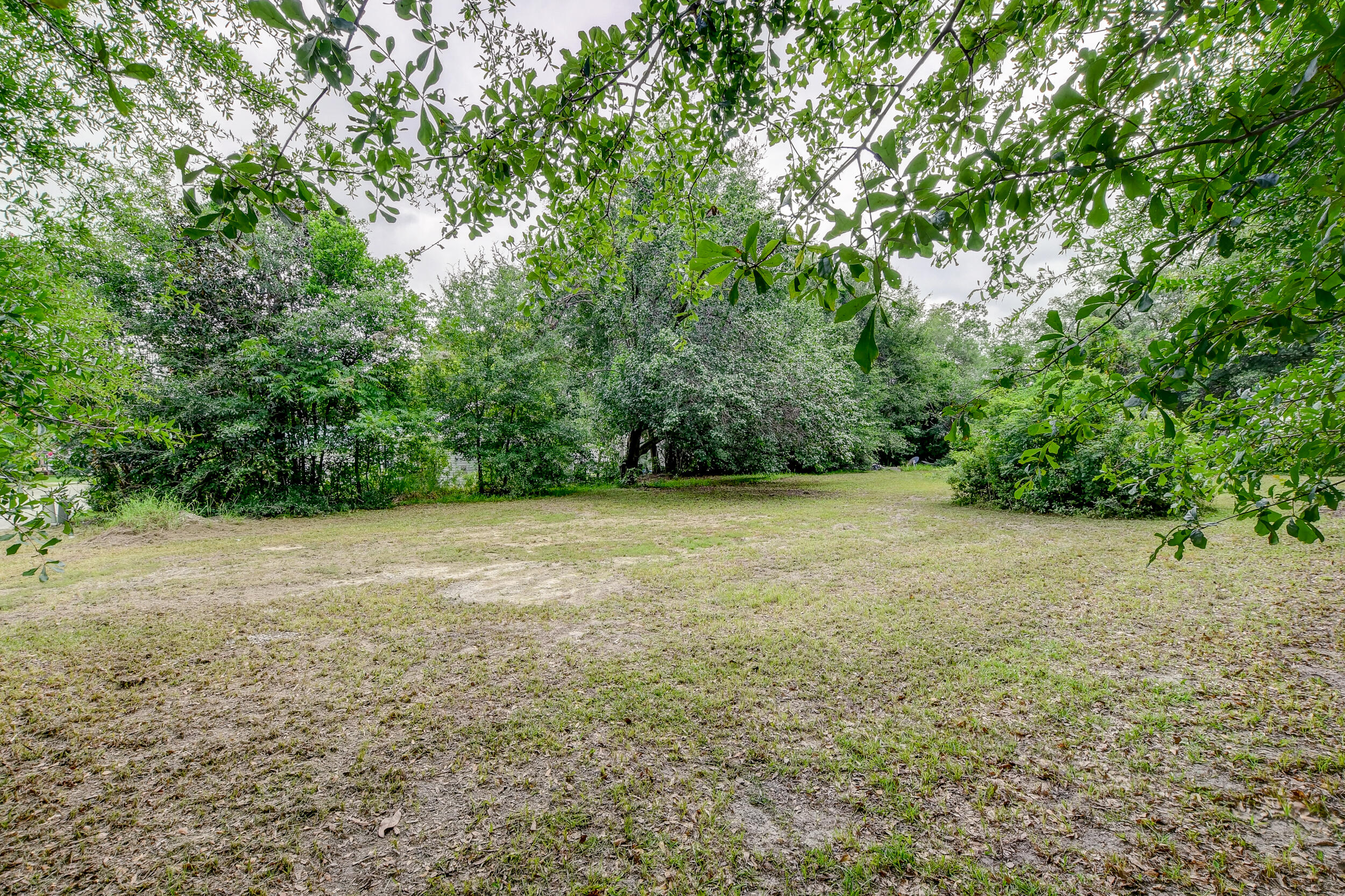 0 Warren Street Walterboro, SC 29488 - Photo 3 of 8 DSC_2590_1_2_3_4
