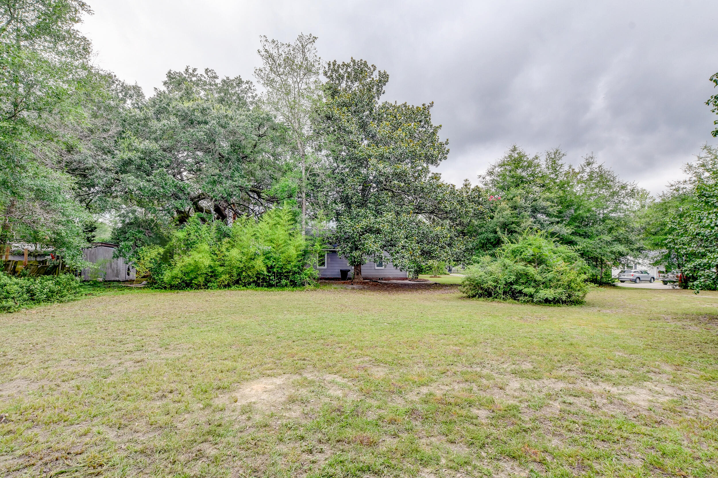 0 Warren Street Walterboro, SC 29488 - Photo 6 of 8 DSC_2570_1_2_3_4