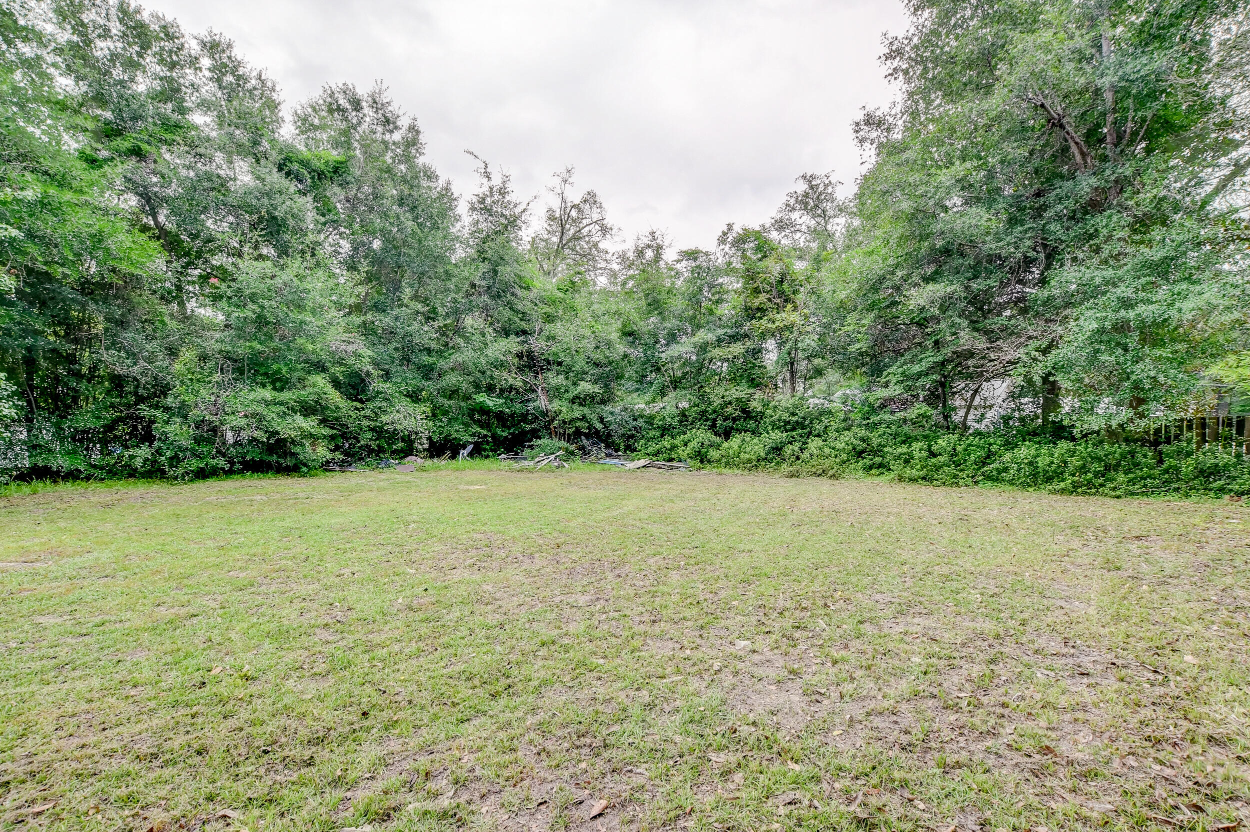0 Warren Street Walterboro, SC 29488 - Photo 8 of 8 DSC_2555_6_7_8_9