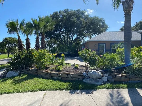 a view of a garden with a tree