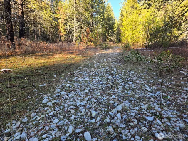 $349,000 | 0 West Jump Off Joe Road, Valley, WA 99181