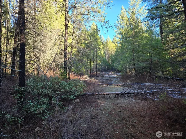 $349,000 | 0 West Jump Off Joe Road, Valley, WA 99181