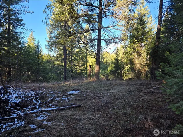 $349,000 | 0 West Jump Off Joe Road, Valley, WA 99181