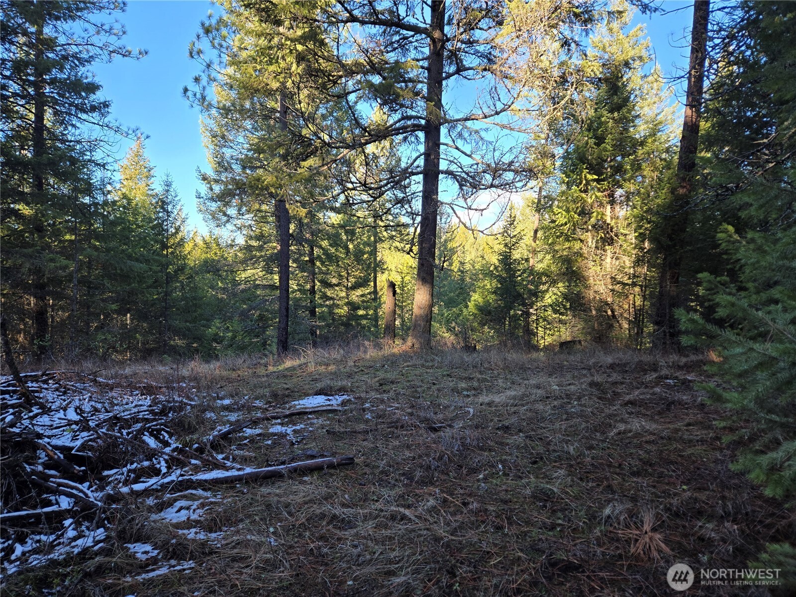 0 West Jump Off Joe Road Valley, WA 99181 - Photo 17 of 23