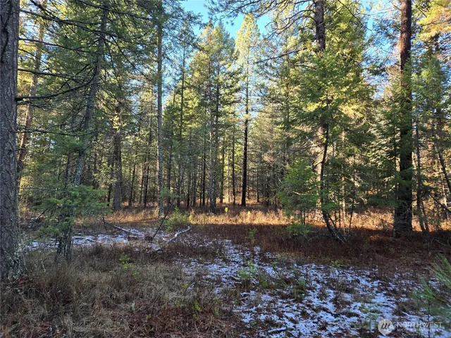 $349,000 | 0 West Jump Off Joe Road, Valley, WA 99181