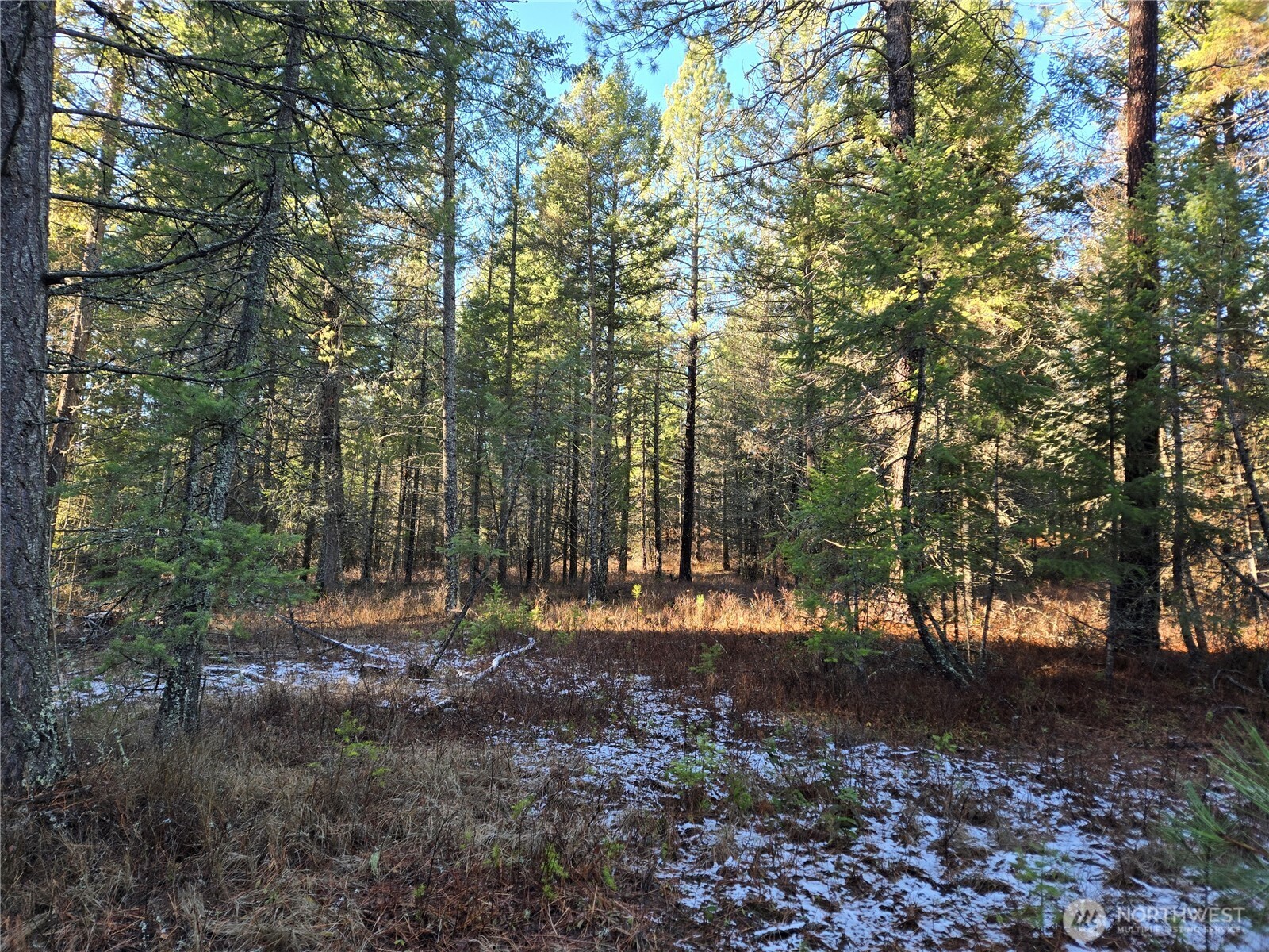 0 West Jump Off Joe Road Valley, WA 99181 - Photo 18 of 23