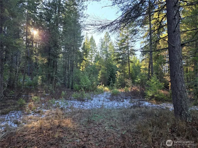 $349,000 | 0 West Jump Off Joe Road, Valley, WA 99181