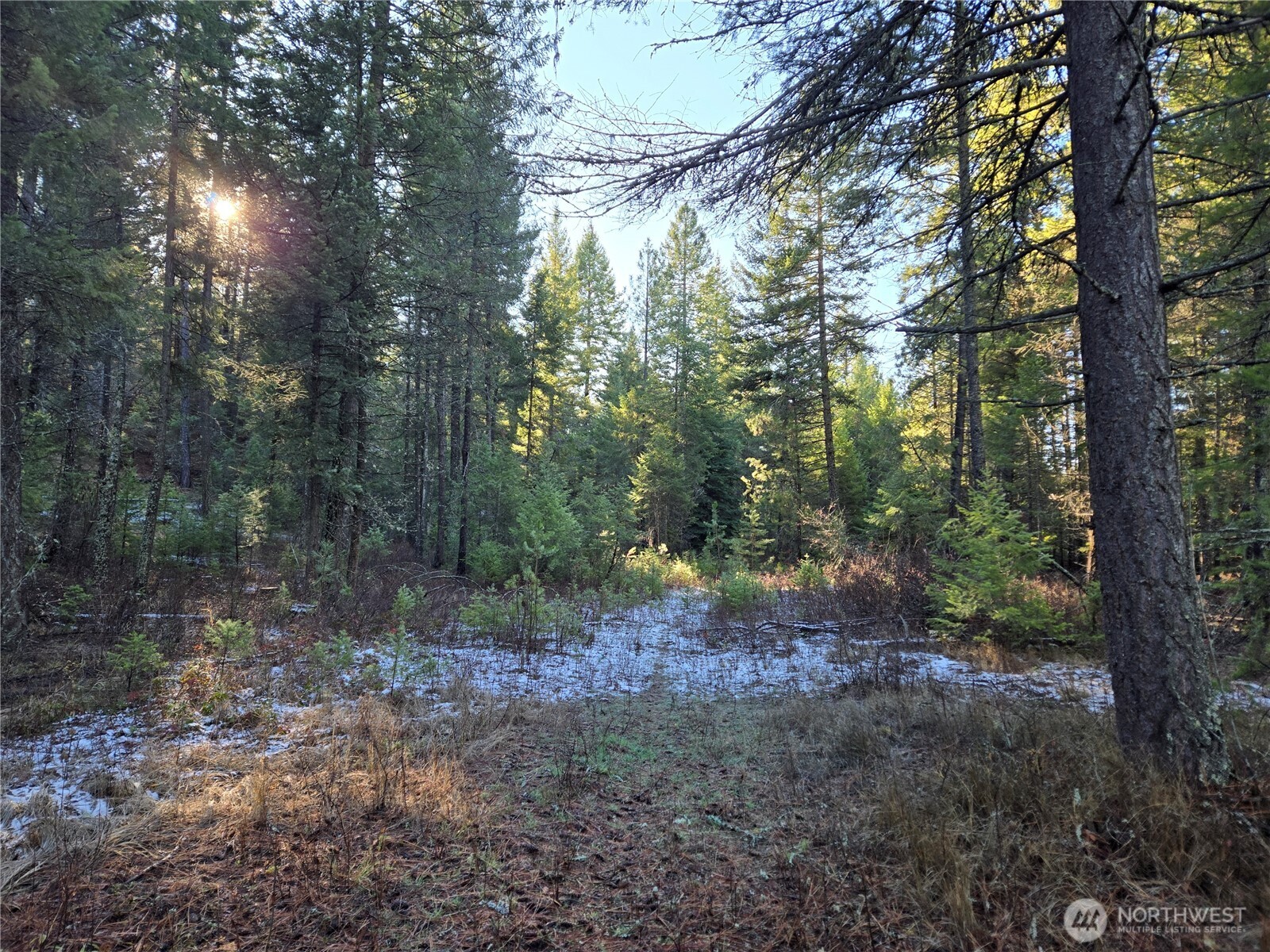 0 West Jump Off Joe Road Valley, WA 99181 - Photo 19 of 23