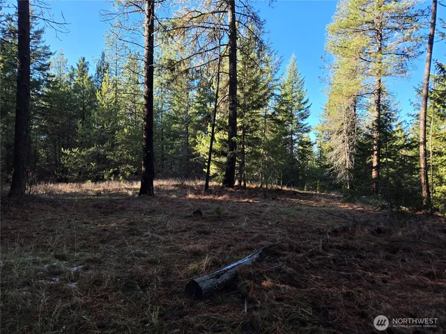 $349,000 | 0 West Jump Off Joe Road, Valley, WA 99181