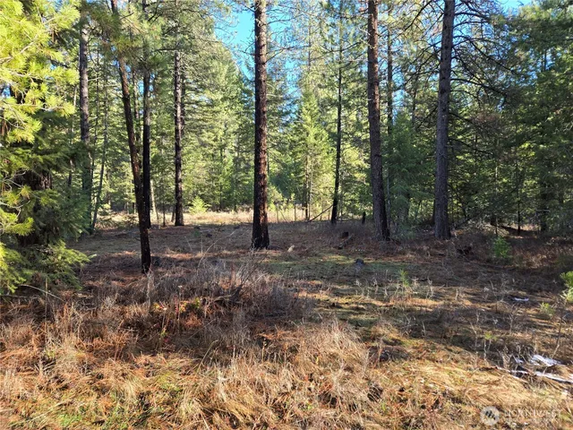 $349,000 | 0 West Jump Off Joe Road, Valley, WA 99181