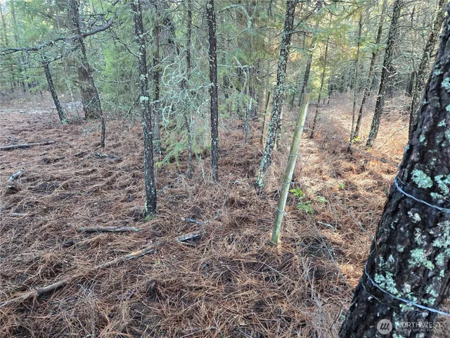 $349,000 | 0 West Jump Off Joe Road, Valley, WA 99181