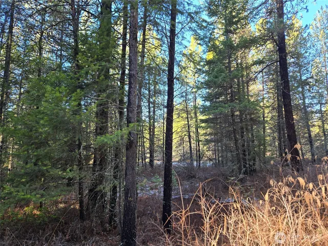 $349,000 | 0 West Jump Off Joe Road, Valley, WA 99181